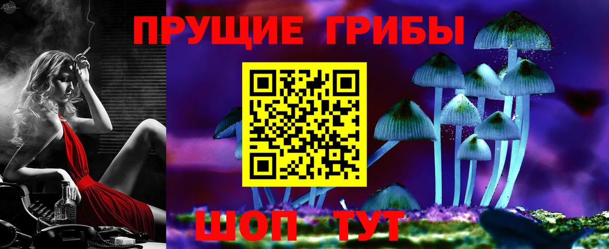 Псилоцибиновые грибы мицелий  Псилоцибиновые грибы Psilocybine cubensis  Вход с VPN  Южно-Сахалинск 